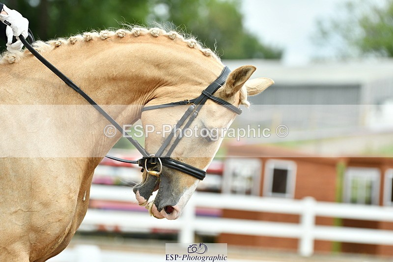 230701A-123937-05783 - Cls 7 Elementary 45