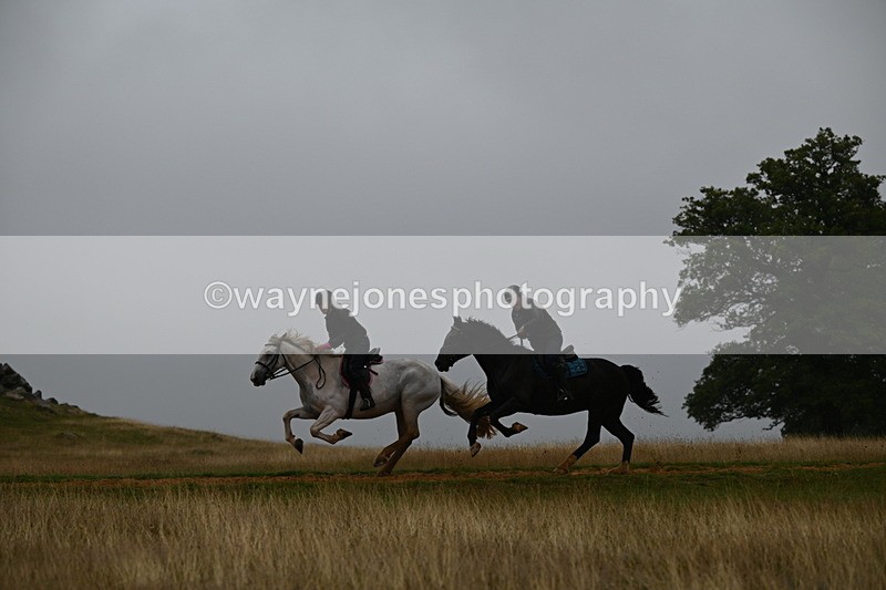DSC_1403 - Time at Statue 11:54 to 12:12