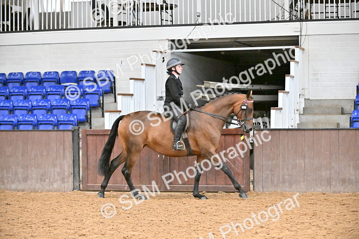 SBM_002349 - Class 22 - BSHA Ridden Hack & Riding Horse