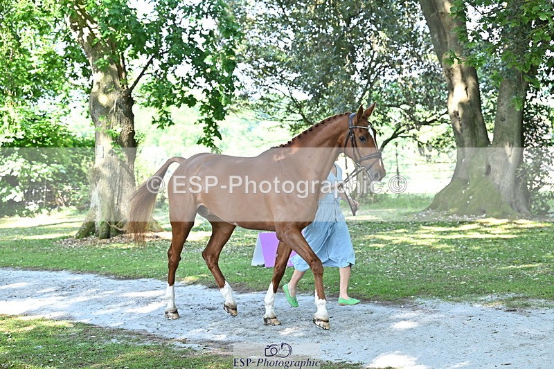 250521A-161558-01023 - C-261-Danielle.Dunn-ICI.DOR.DE.DONNA.CADANZA.Z