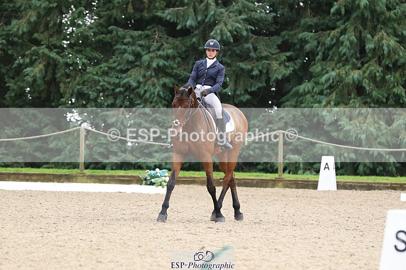 241024-114613-01909 - 053-Lois.Teal-Z7.CATASTROPHE