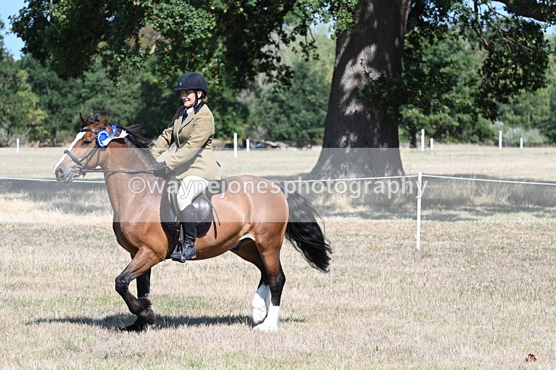 WJ7_4244 - Class 9 Mountain & Moorland Ridden