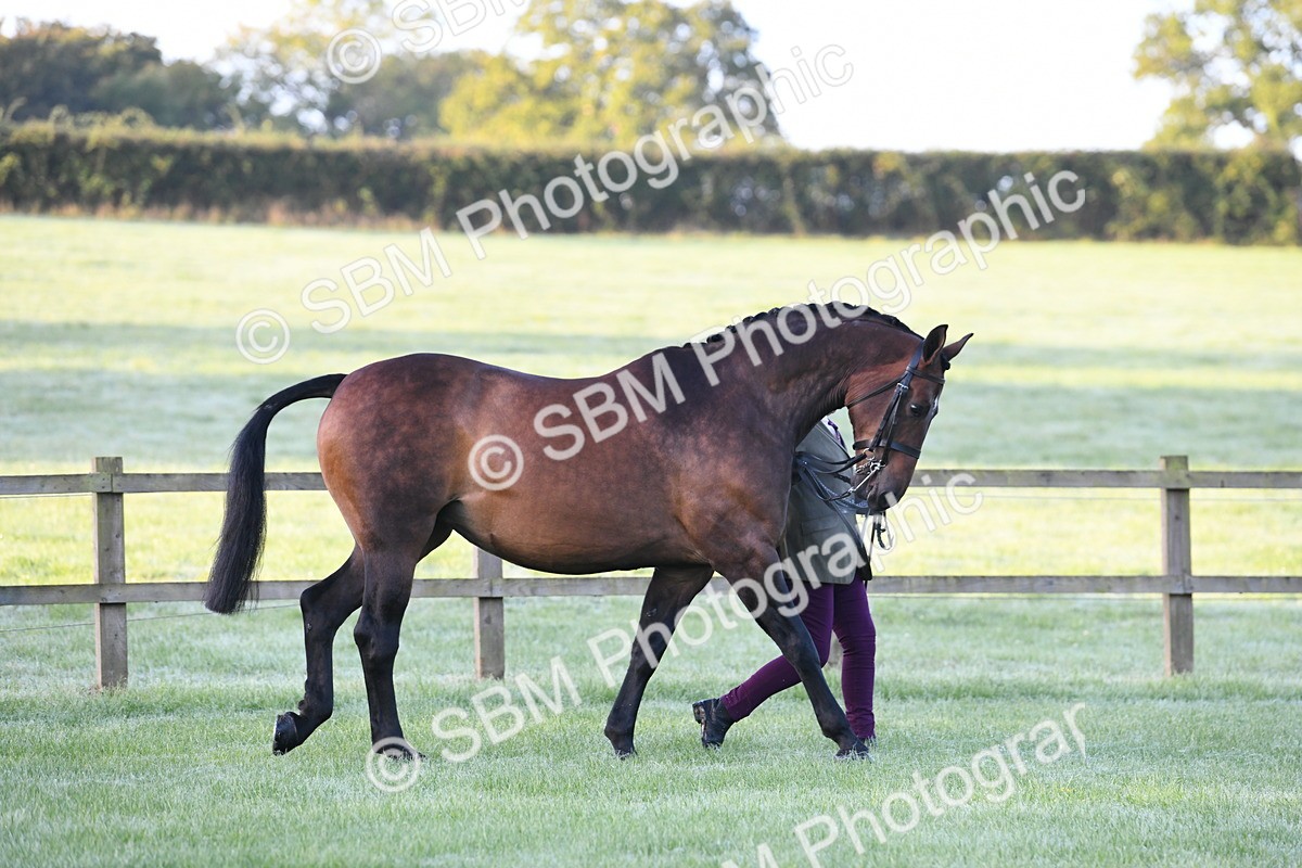 SBM_32406 - S15 - Condition & Turnout In Hand