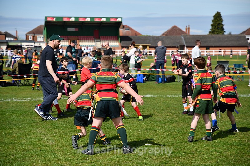  - Selby Rugby Festival 2025