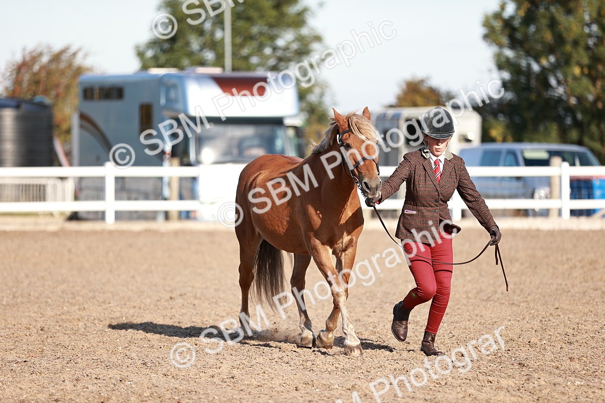 SBM_11401 - Class 402 - IH  Veteran pony