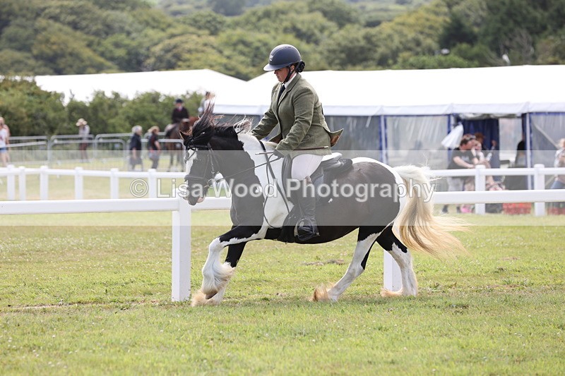 JPP_1537 - Class 17: Cornish Combination Open