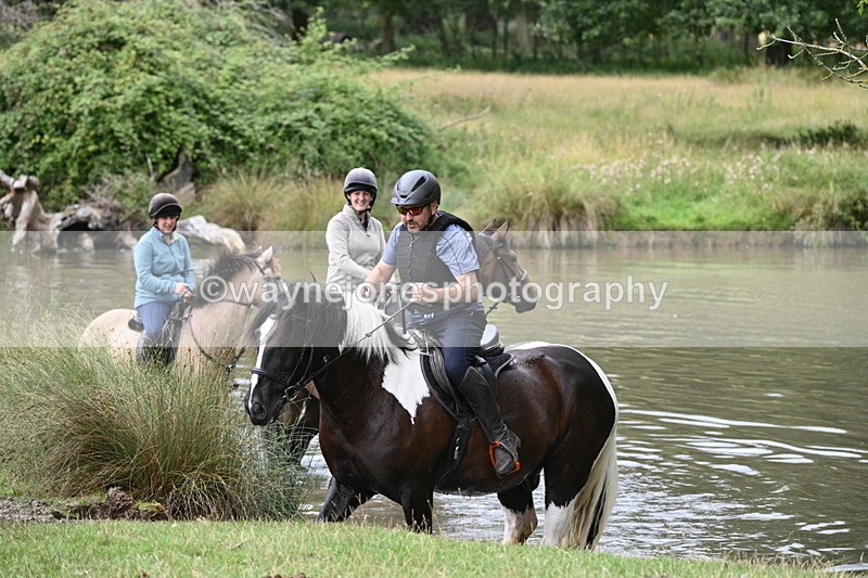 WJ7_4088 - Time at Water 12:52 to 13:22