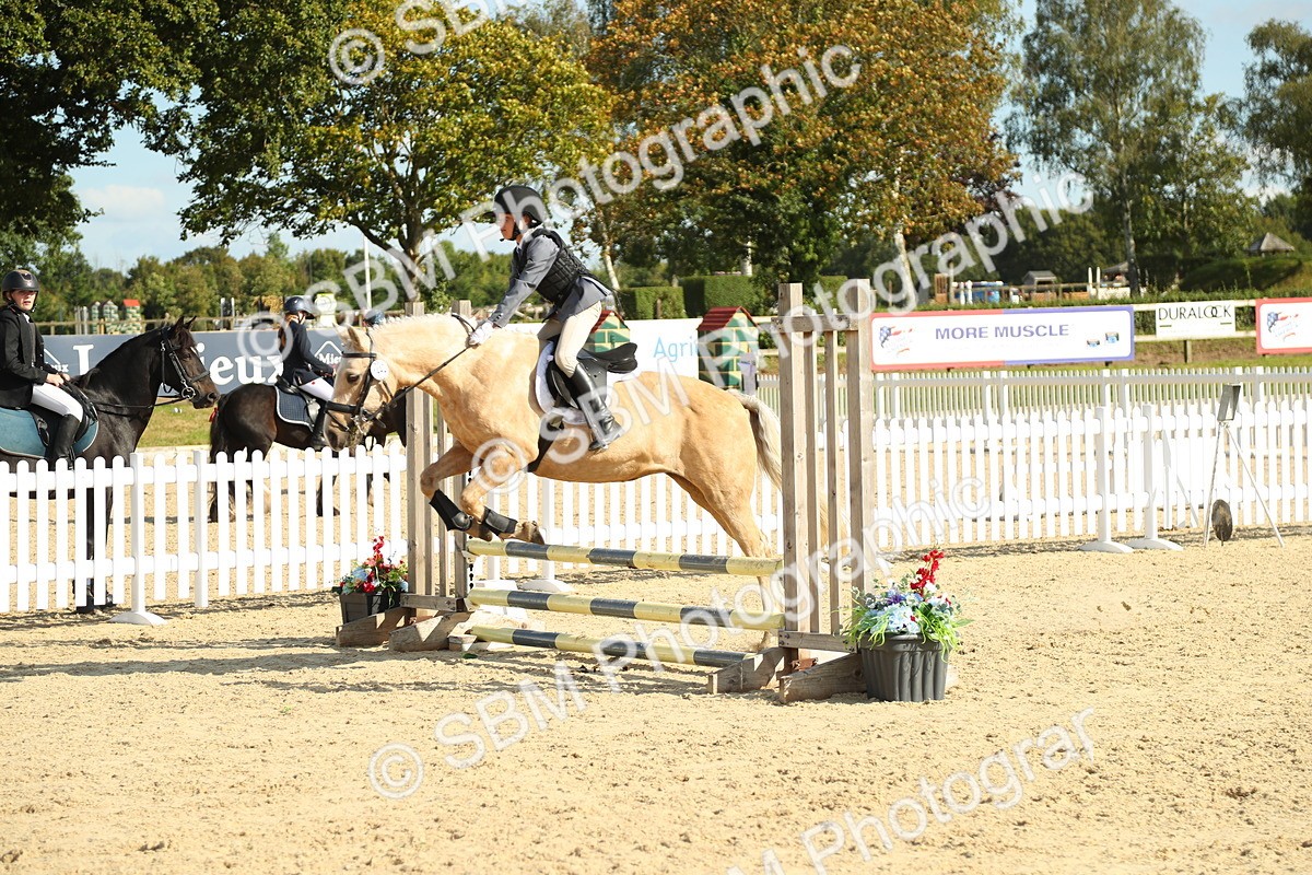 SBM_49544 - J7 - Junior Pony 60cm Championship