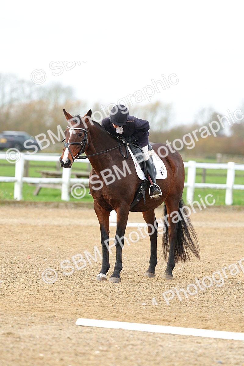 SBM_003546 - Class 6 - Novice 2