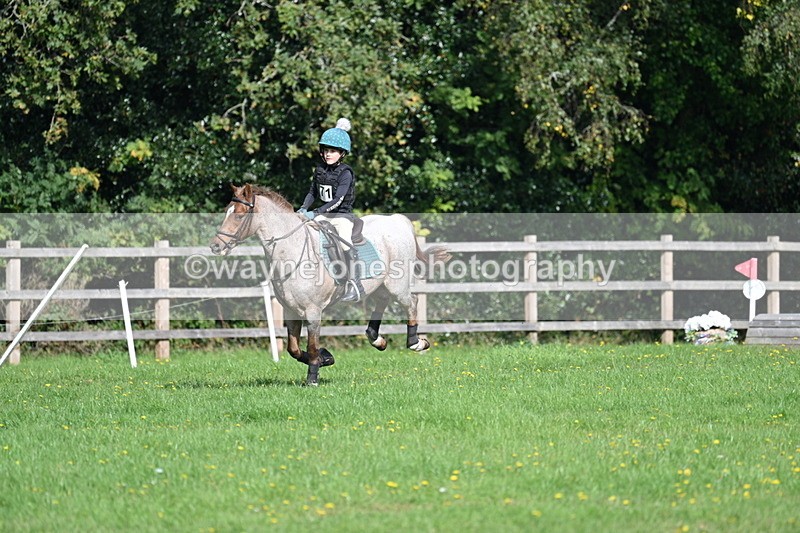 WJ7_5014 - 60cm Time 11:11 to 11:19