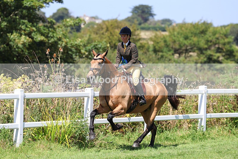 3E7A9223 - Working Hunter Championship