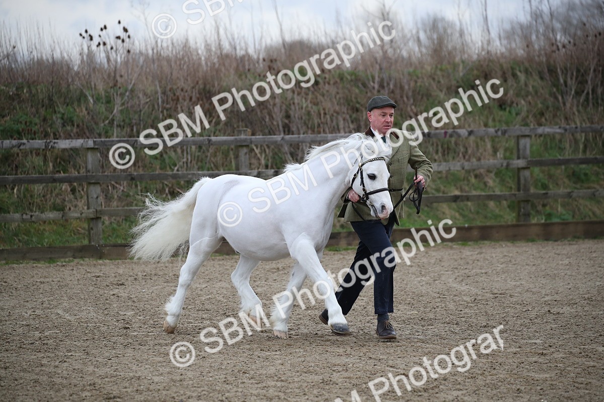 SBM_003914 - Class 1-4 - Young Stock classes Inc. In Hand Championship