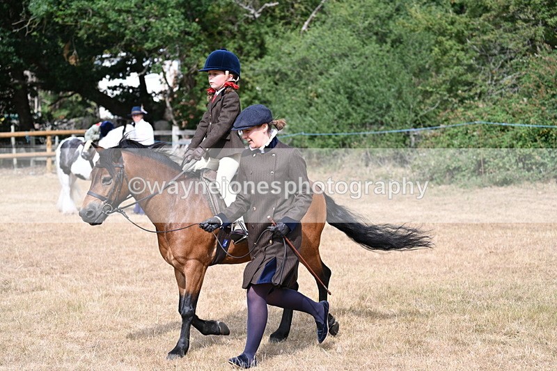WJ7_6515 - Class 1 Lead Rein Pony