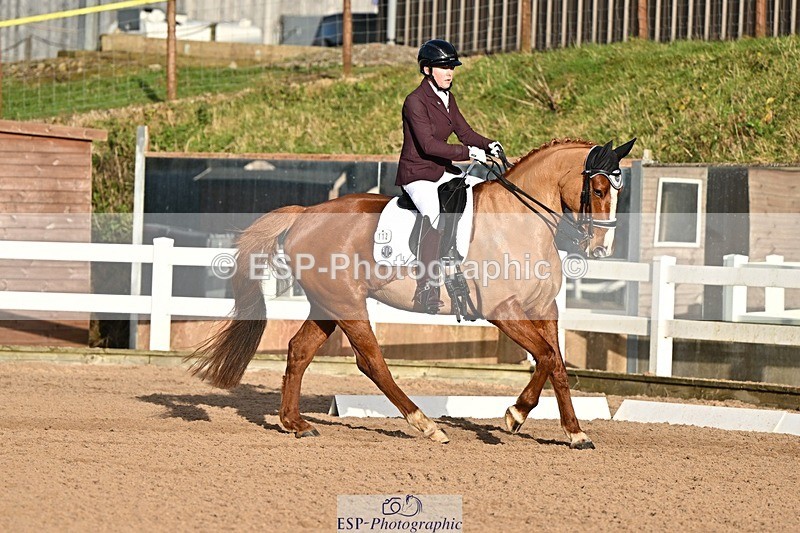 241214-134127-02542 - 112-kelly.jewell-Avalon