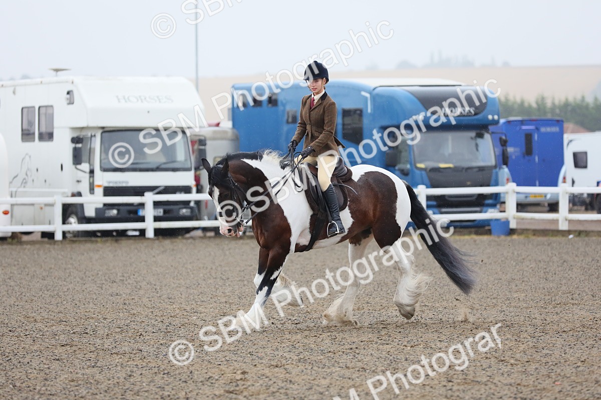 SBM_19930 - Class 801 - Ridden Veteran