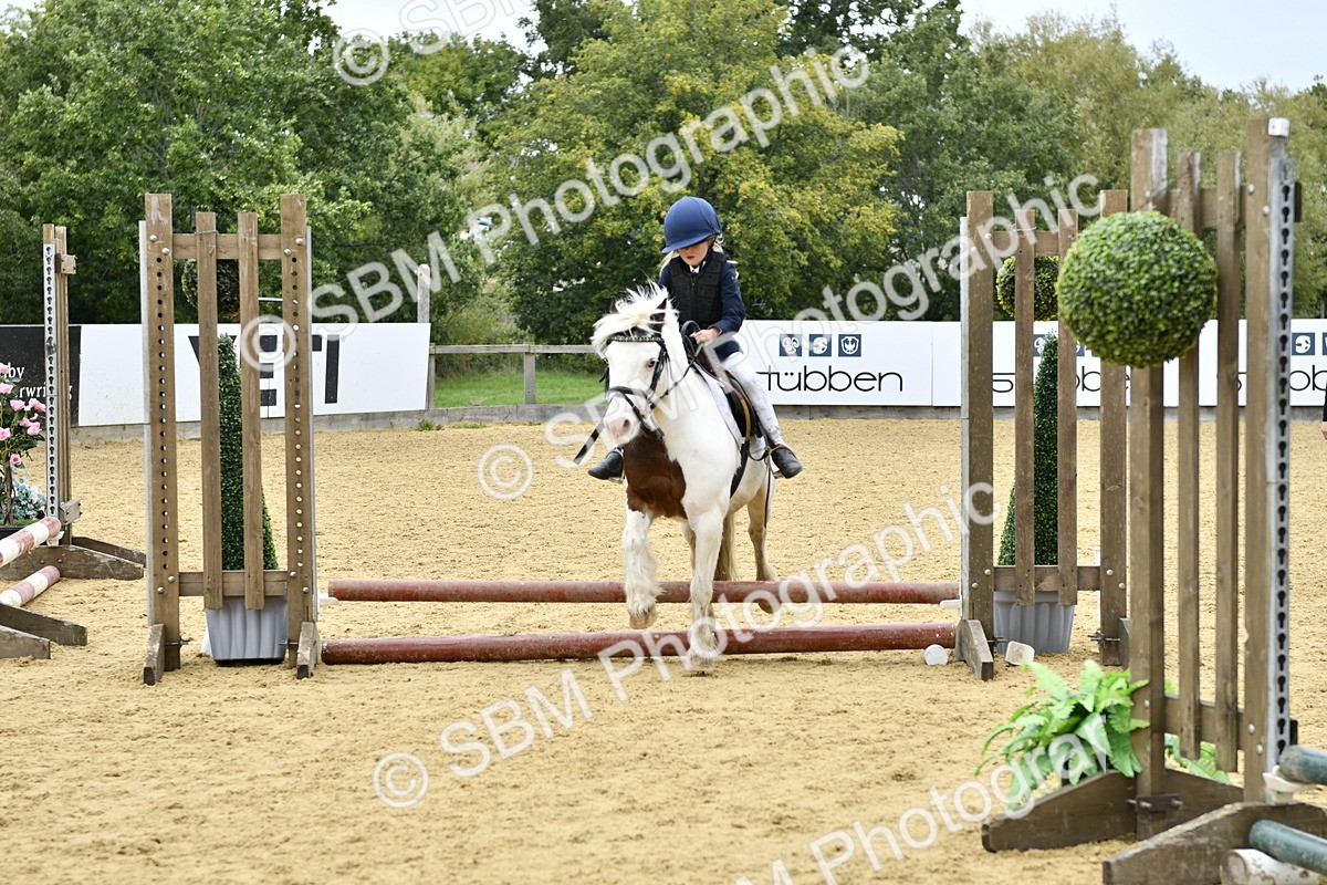 SBM_66186 - J2a mini Tour Junior Pony 30cm Championship