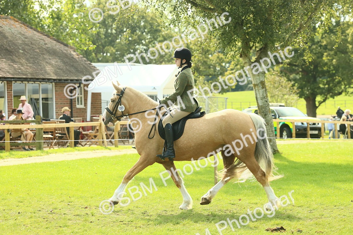 SBM_62656 - S63 - Other Coloured Horse Ridden