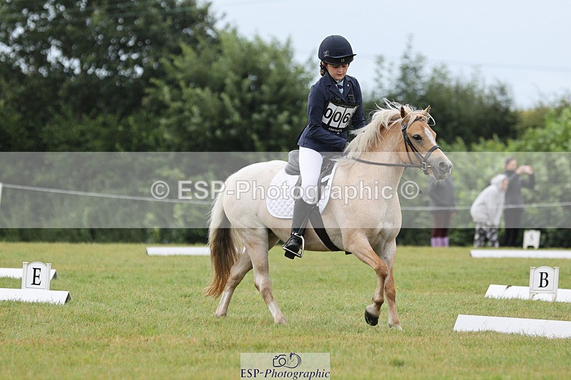 240824X-103840-22280 - D70 Section C and D 9.30 to 11.00