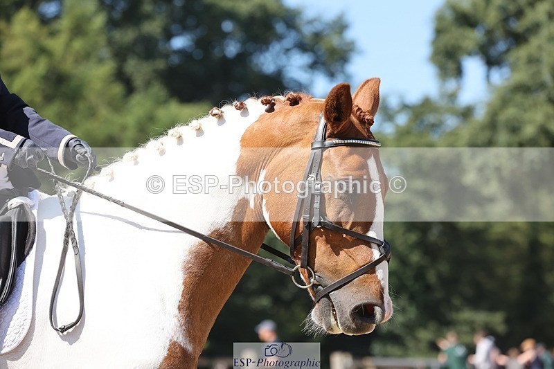 240719-105902-00836 - 164-Rachel_Collins-Clonown_Boy