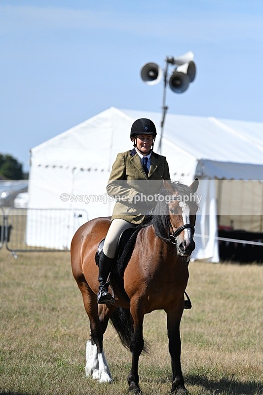 WJ7_3624 - Class 9 Mountain & Moorland Ridden