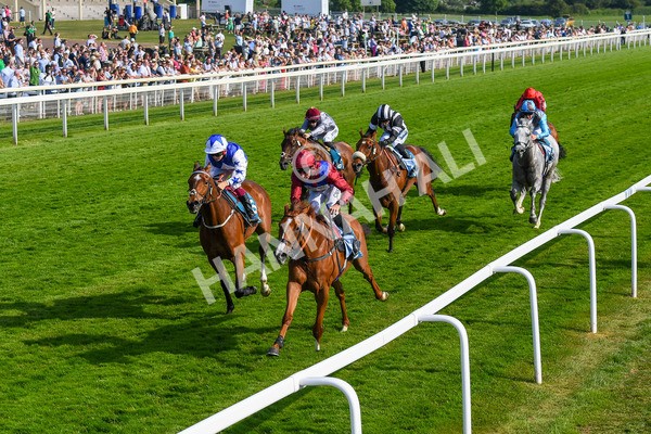 160623-Race 7-Diamond Bay-0775 - Race 7 5.21pm Constant Security Handicap