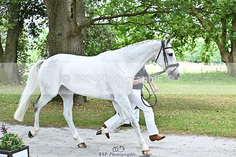 250521A-145016-00276 - A-065-Beatrice.Montgomerie-JAG.WOMANIZER.LADY