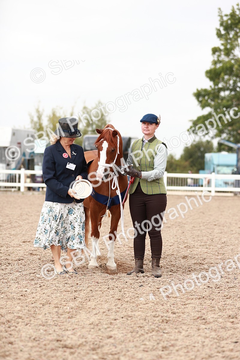 SBM_12548 - Class 207 IH M&M