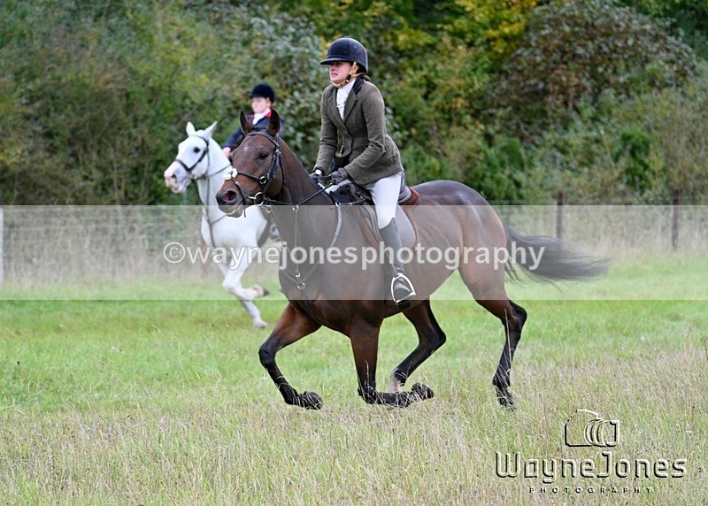 WJ7_3936 - Edited examples