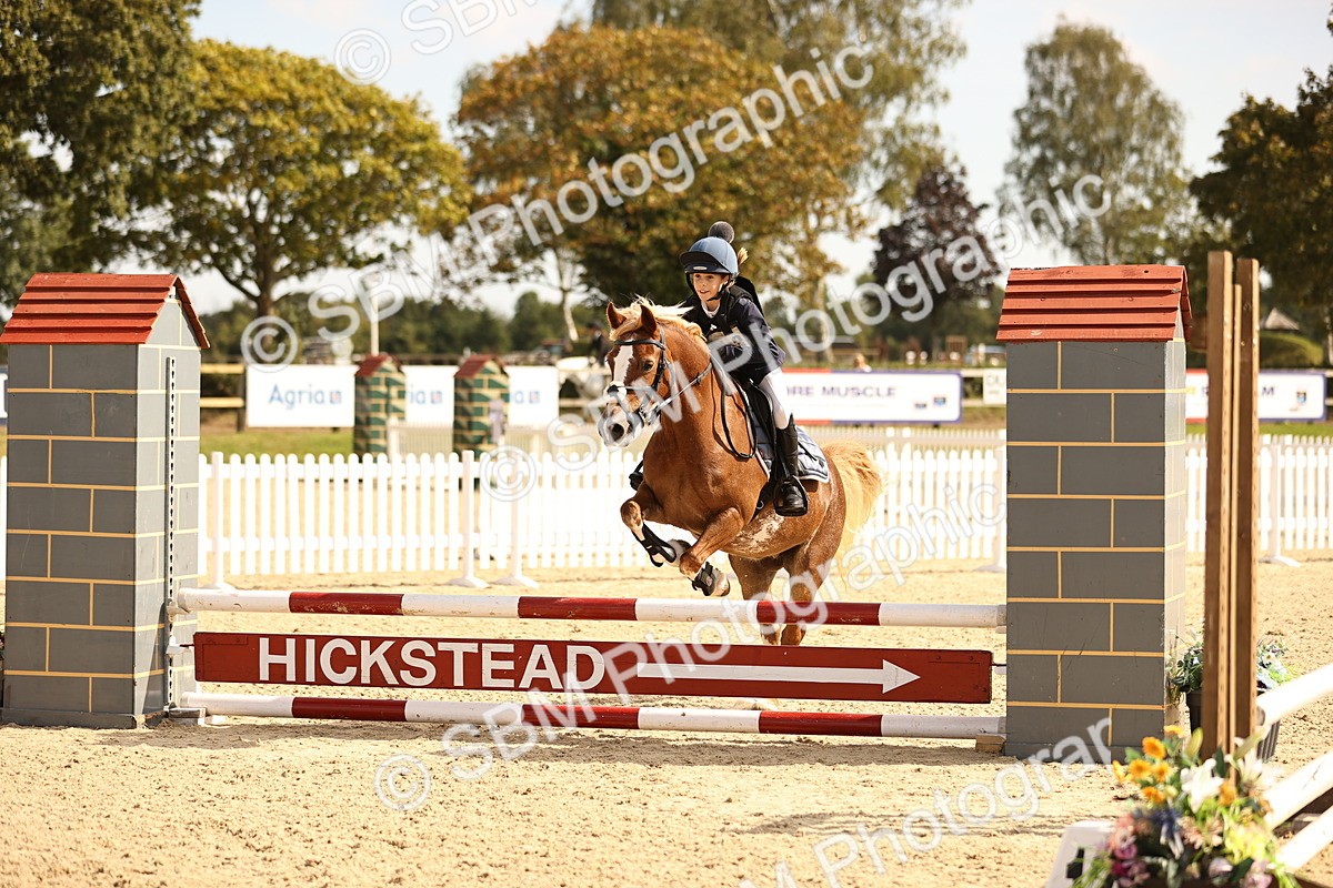 SBM_67021 - J13 - Junior Pony 60cm Championship