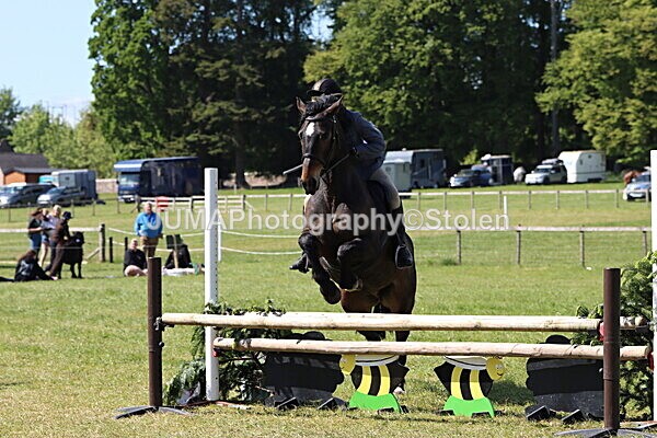 IMG_4541 - Working Hunter