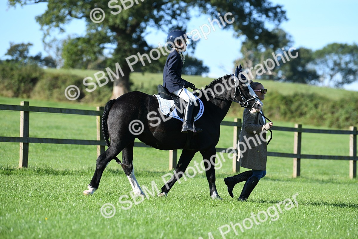 SBM_35336 - S17 - Condition & Turnout - Lead Rein