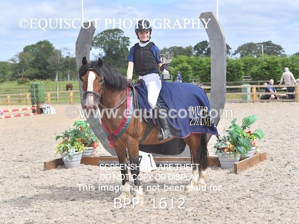 BPP_1612 - DERBY CLASS 3 - 40CM