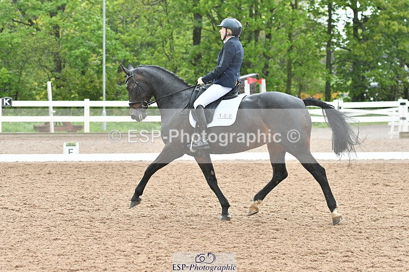 230511A-135831-00881 - BD Cls 13 Adv Medium 91