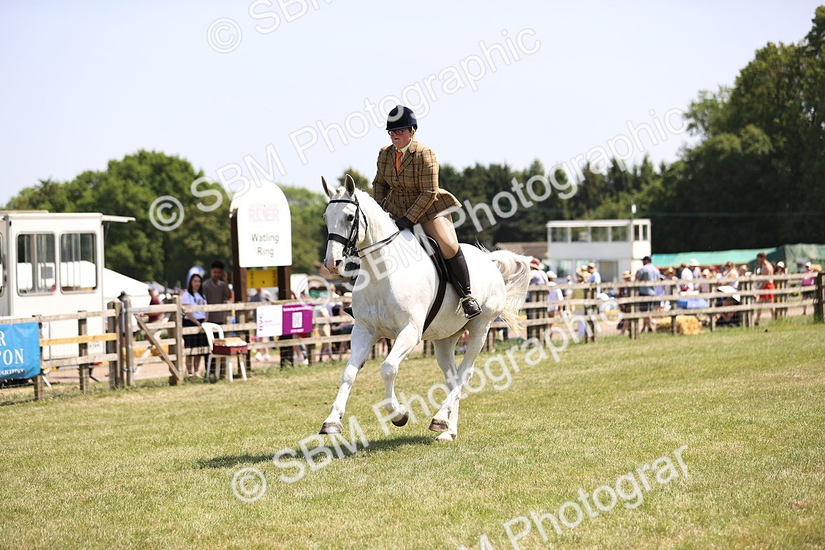 SBM_16121 - Class 79-80 - LIHS BSHA Rising Star Ridden Hunter