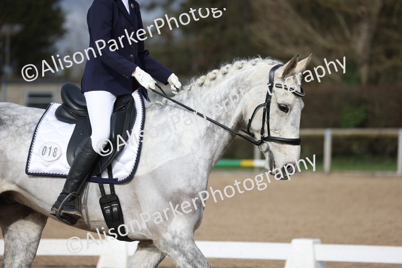 20260301-0186 - Class 3 - Novice 4