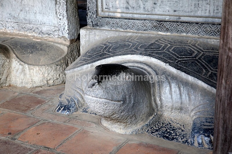 VIET_0912 - Vietnam 2017