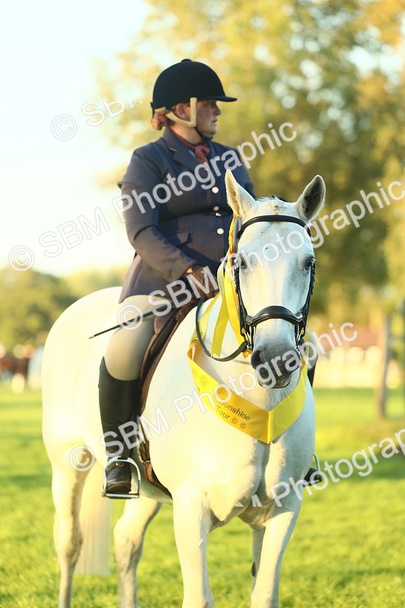SBM_56522 - S14 - Riding Club Horse