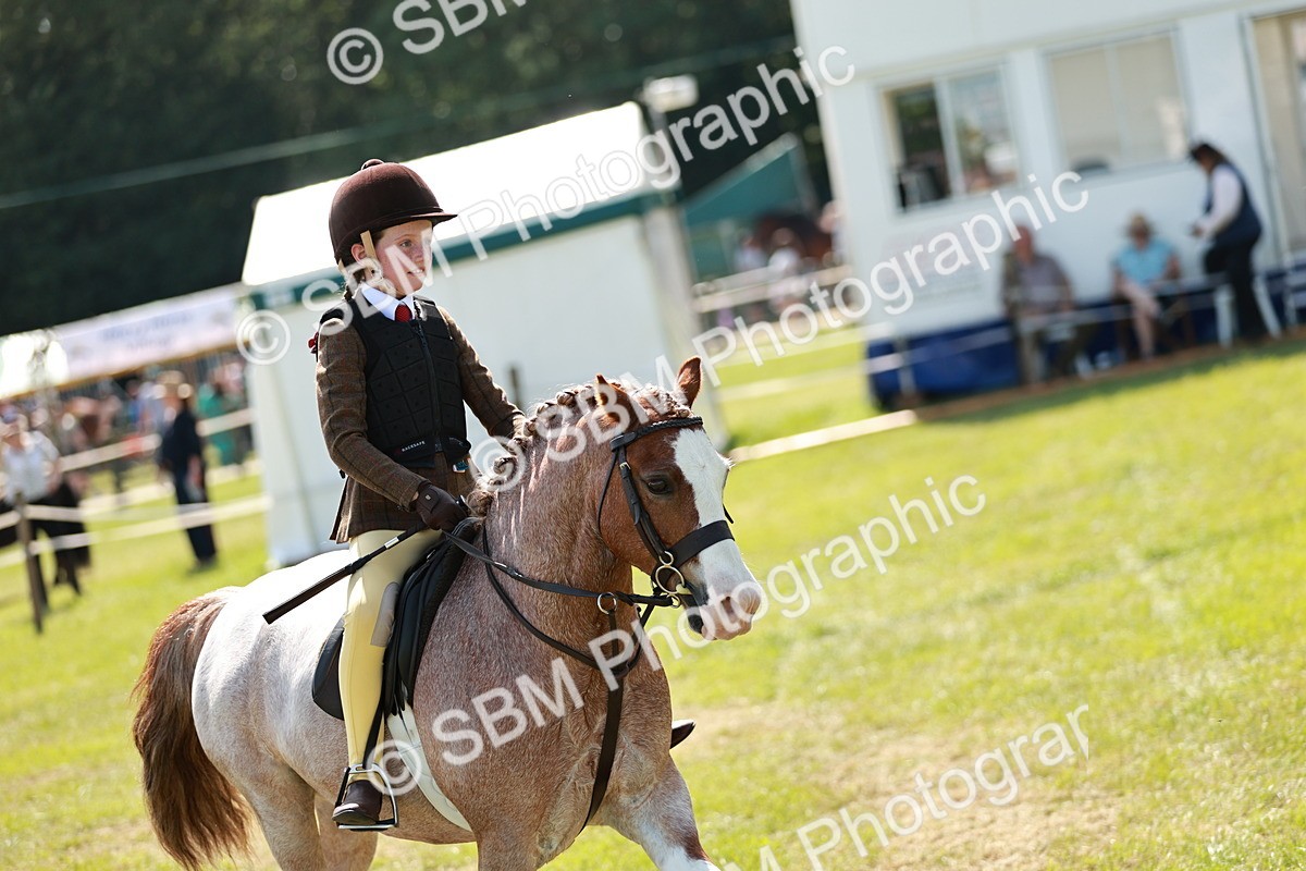 SBM_13513 - Class 108-109 - BSPS LIHS Open Gradle & Nursery Stakes