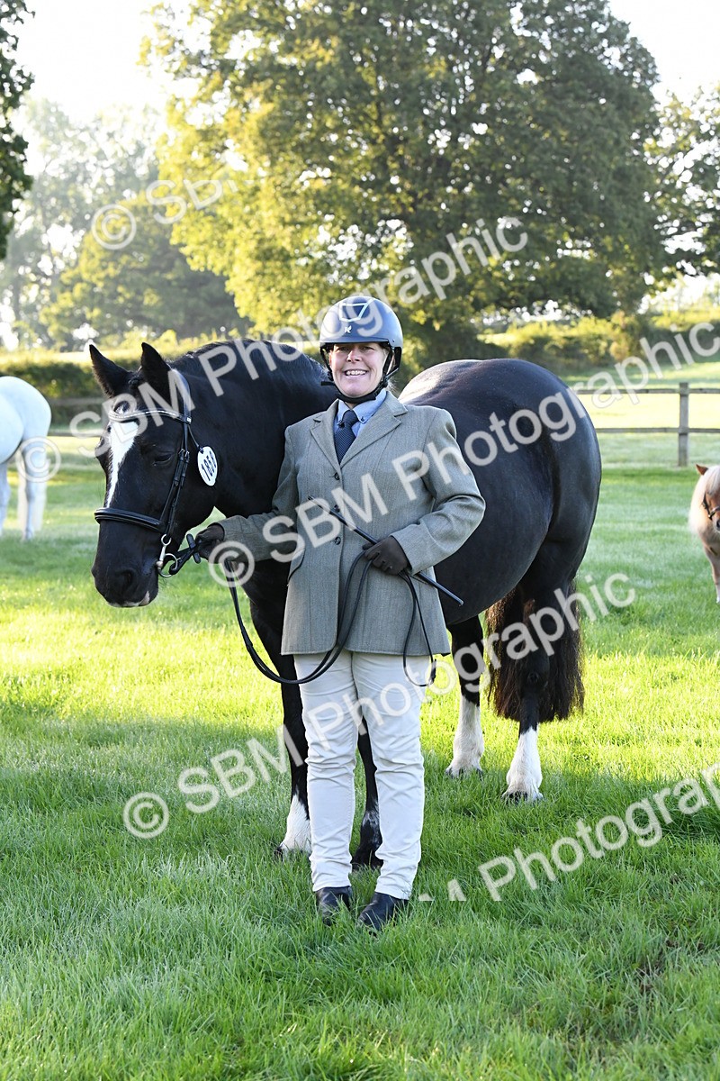 SBM_32678 - S15 - Condition & Turnout In Hand