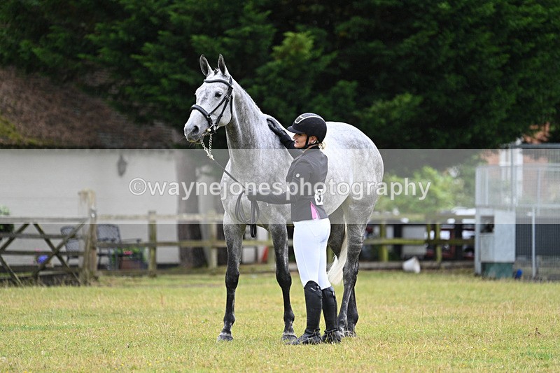 WJ7_6188 - Class 4a Prettiest Mare over 14hh