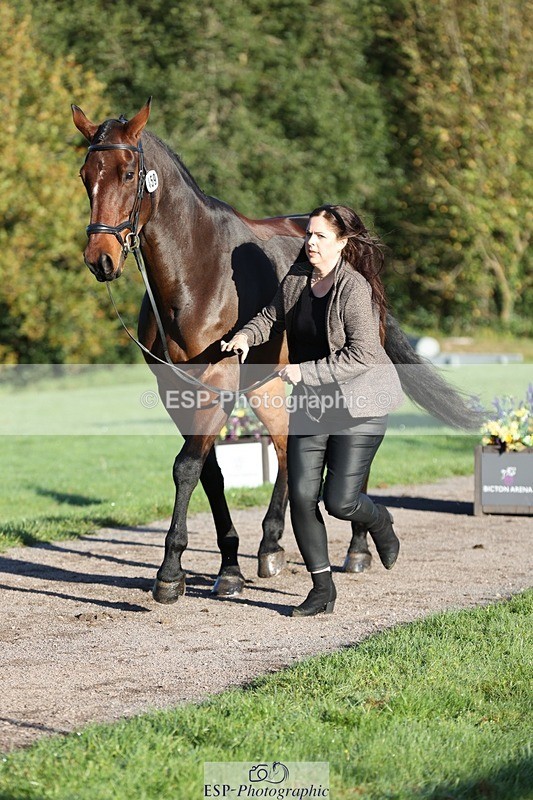 241027-085340-14875 - 459-Rachael.Hardman-I.M.ALL.YOU.WANT