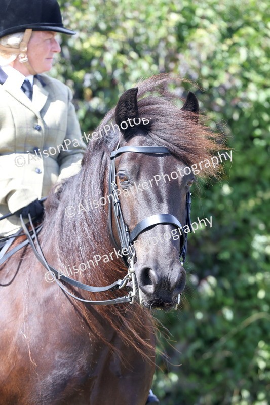 20250831-2985 - Class 19 - Mountain and Moorland