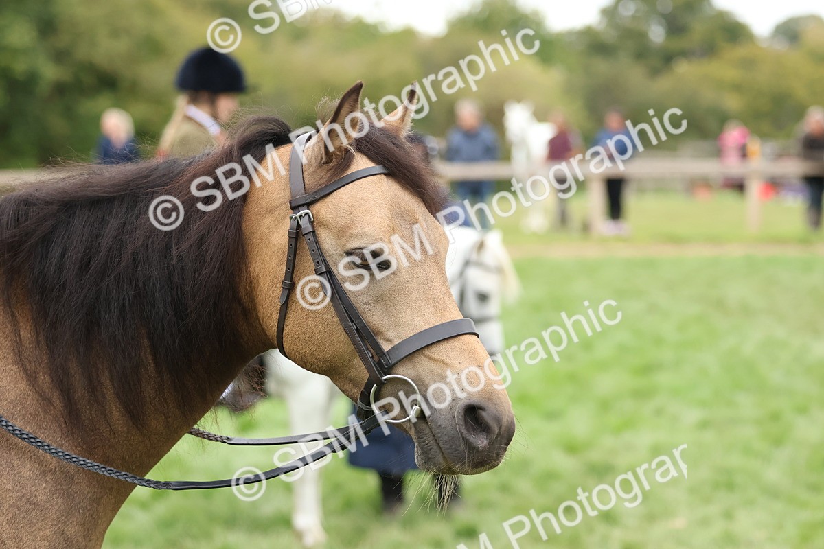 SBM_67473 - S61 - Mountain & Moorland Ridden