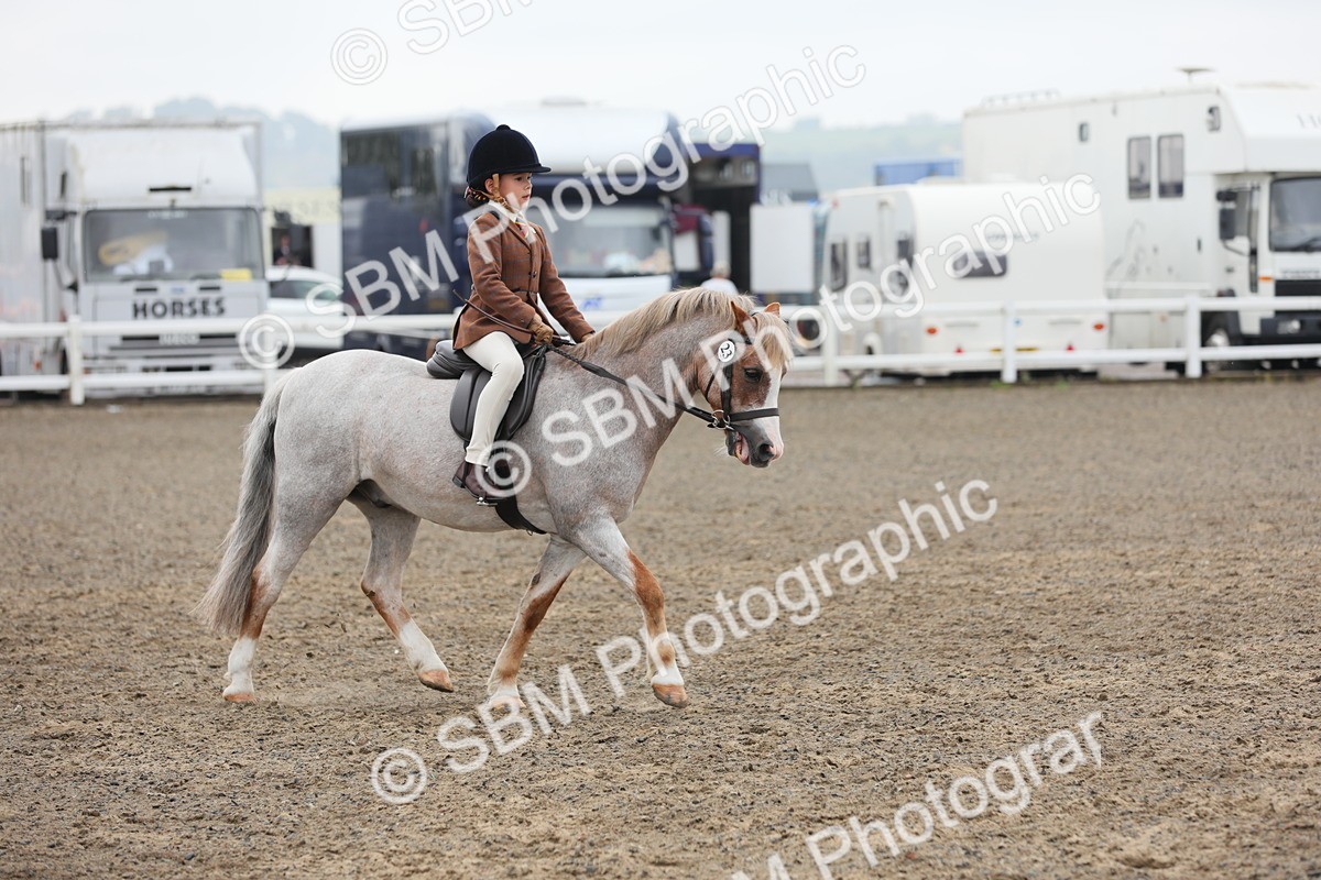 SBM_21819 - Class 806 - Young ridder 10 Yr & Under