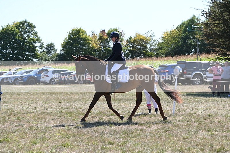 WJ6_8847 - Class 38 Ridden Riding Horse/Pony