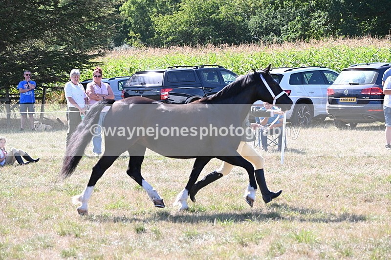 WJ6_4878 - Class 17 Mountain & Moorland