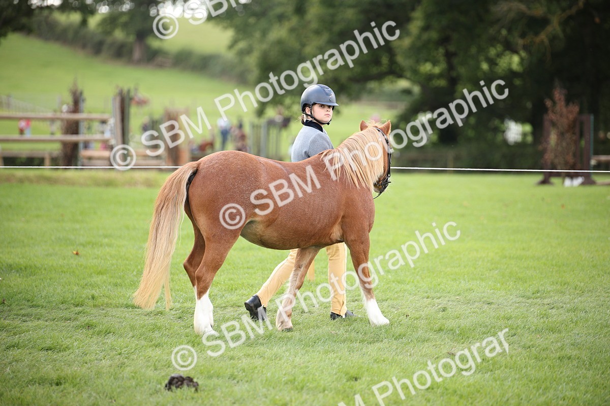 SBM_44364 - S24 - Young Veteran in hand