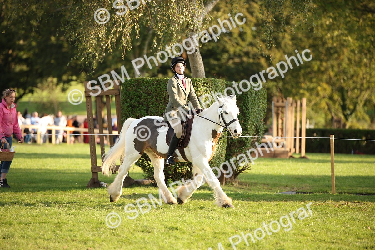 SBM_54416 - S27 - Mature Veteran - Ridden