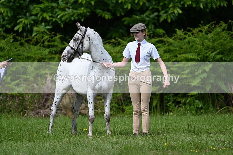 WJ7_1284 - Class 11 Condition & Turnout