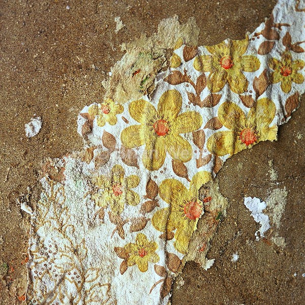 Sunflowers - Decor